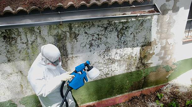 Top rated local Mold Remediation specialists in Oak Ridge, NC